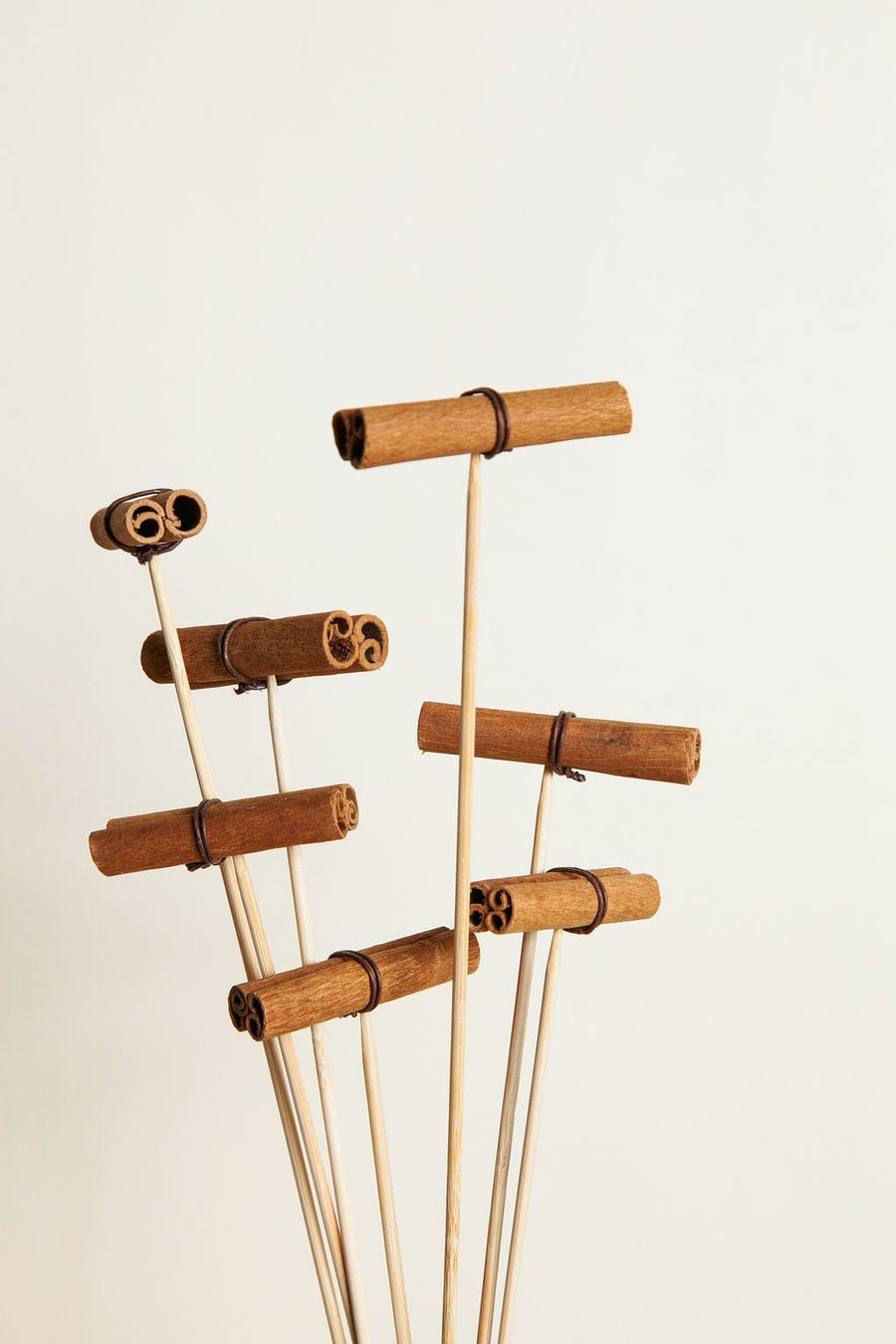 Bunches Cinnamon Picks send a bouquet- the best flower delivery