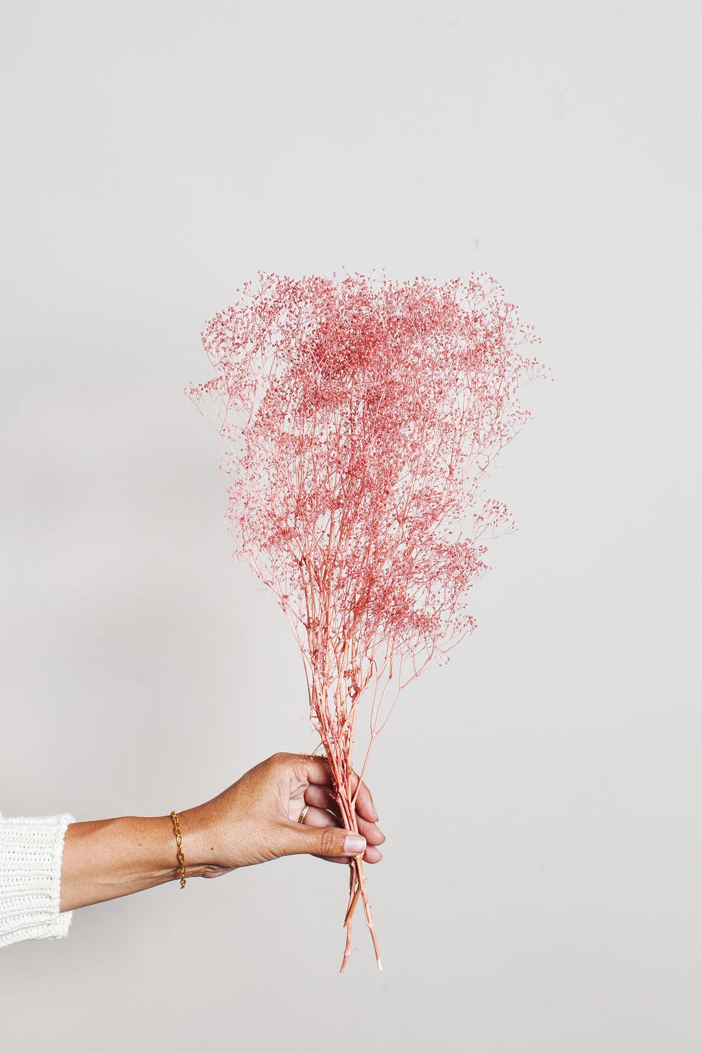 Rose Pink Preserved Dried Baby's Breath – Idlewild Floral Co.