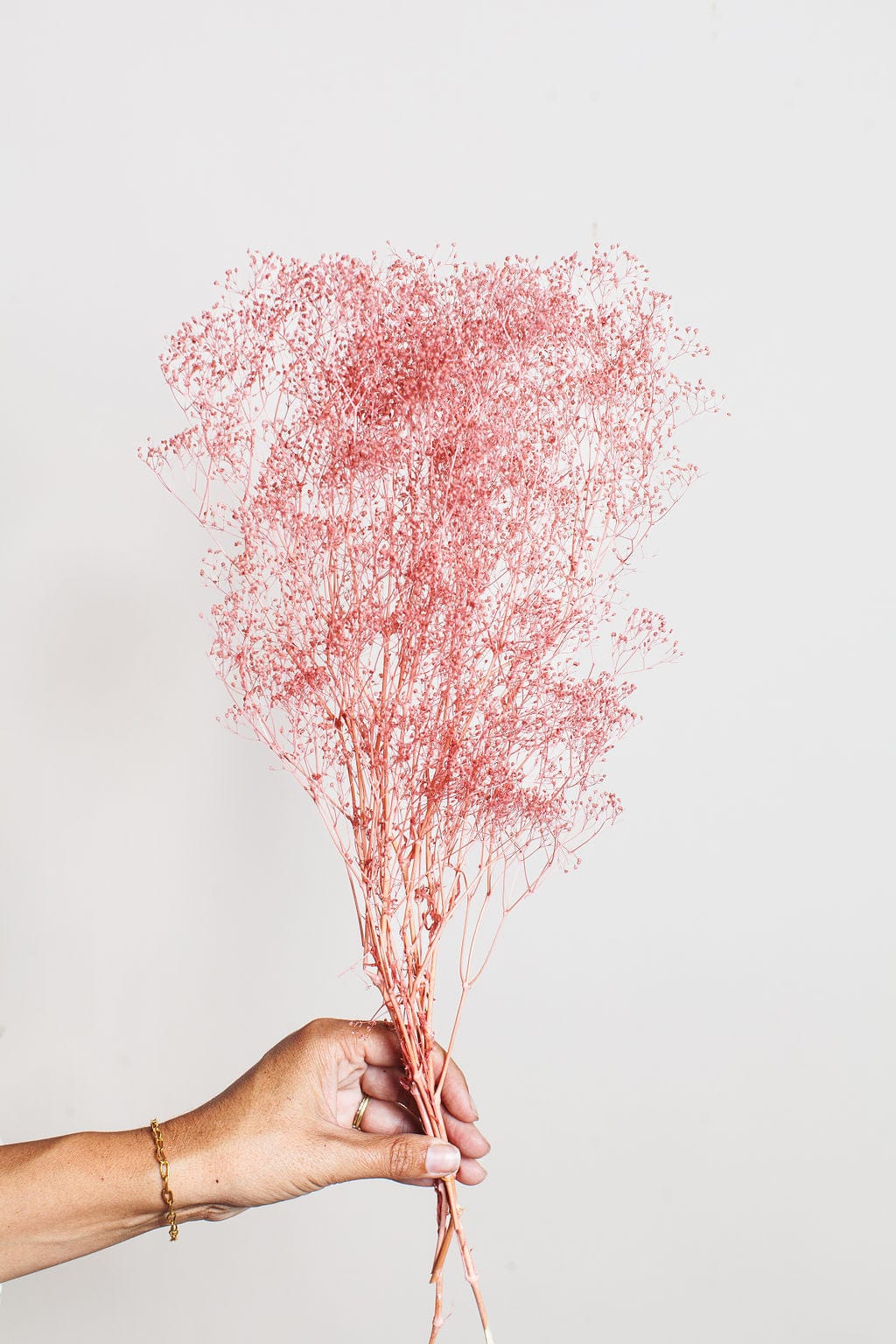 Rose Pink Preserved Dried Baby's Breath – Idlewild Floral Co.