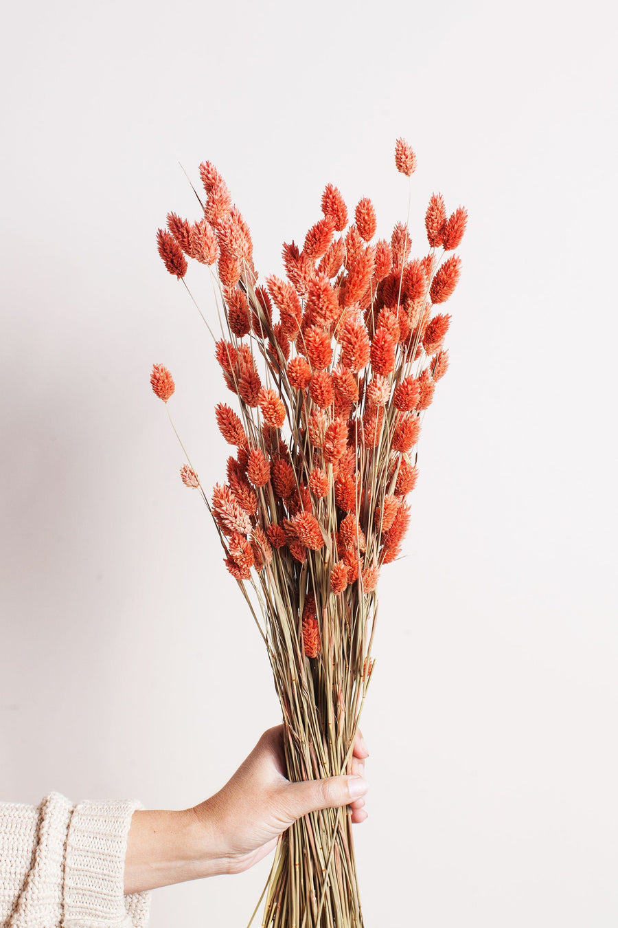 Bunches Coral Phalaris send a bouquet- the best flower delivery