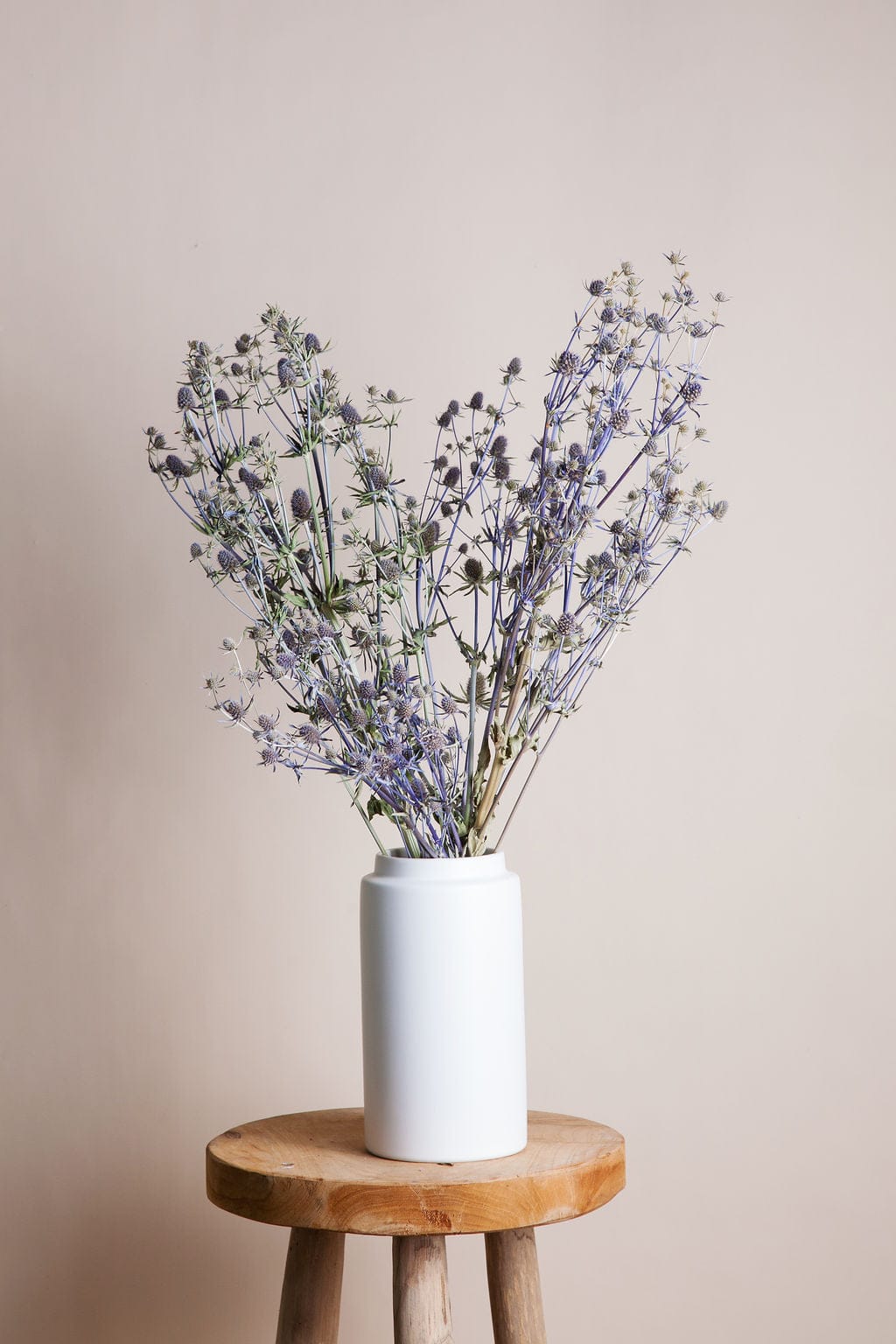 Bunches Dried Blue Eryngium Thistle send a bouquet- the best flower delivery