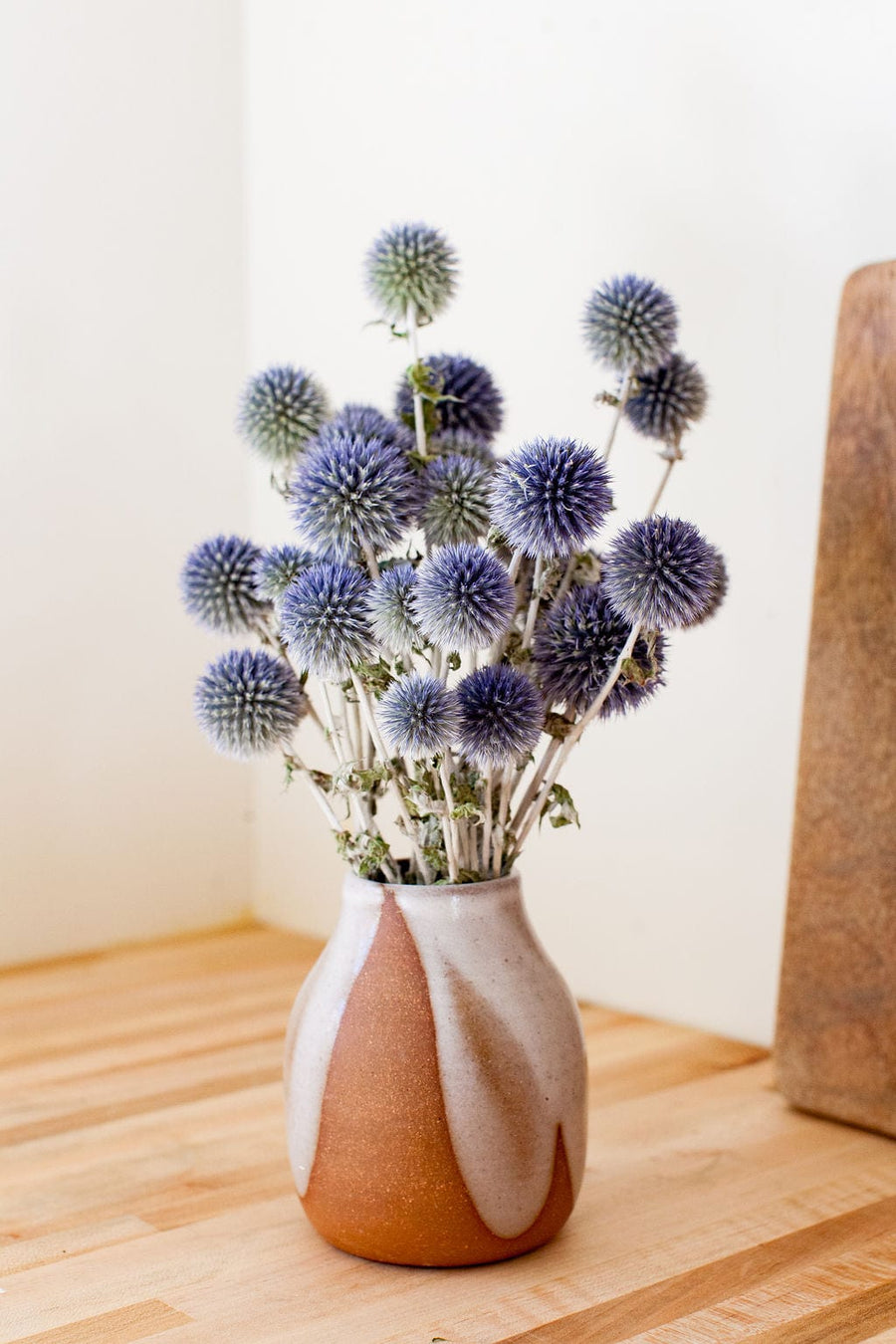 Bunches Dried Blue Globe Thistle send a bouquet- the best flower delivery