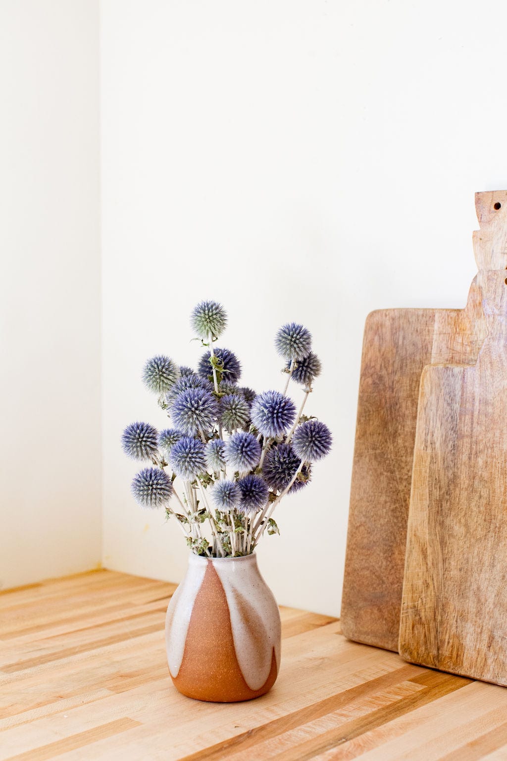 Idlewild Co. Globe Thistle - Thumbnail 2