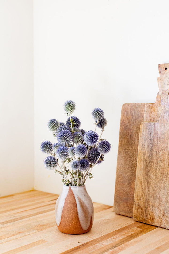 Bunches Dried Blue Globe Thistle send a bouquet- the best flower delivery