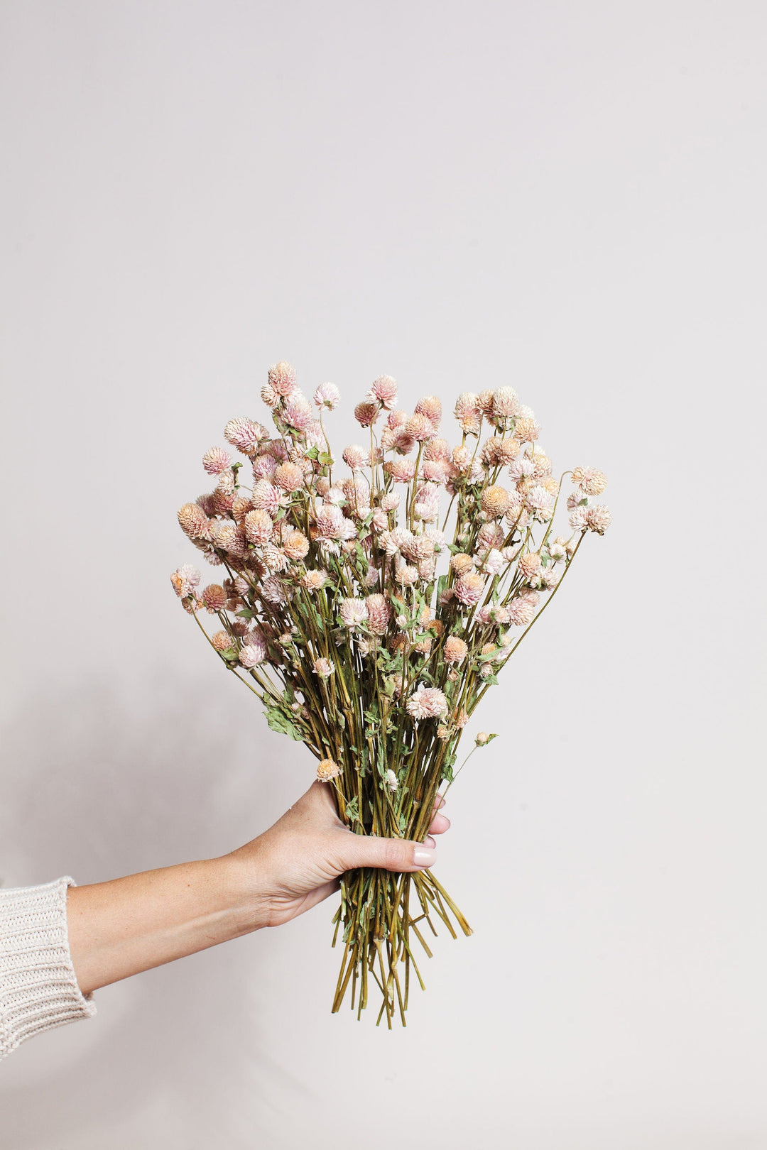 Bunches Dried Blush Globe Amaranth send a bouquet- the best flower delivery