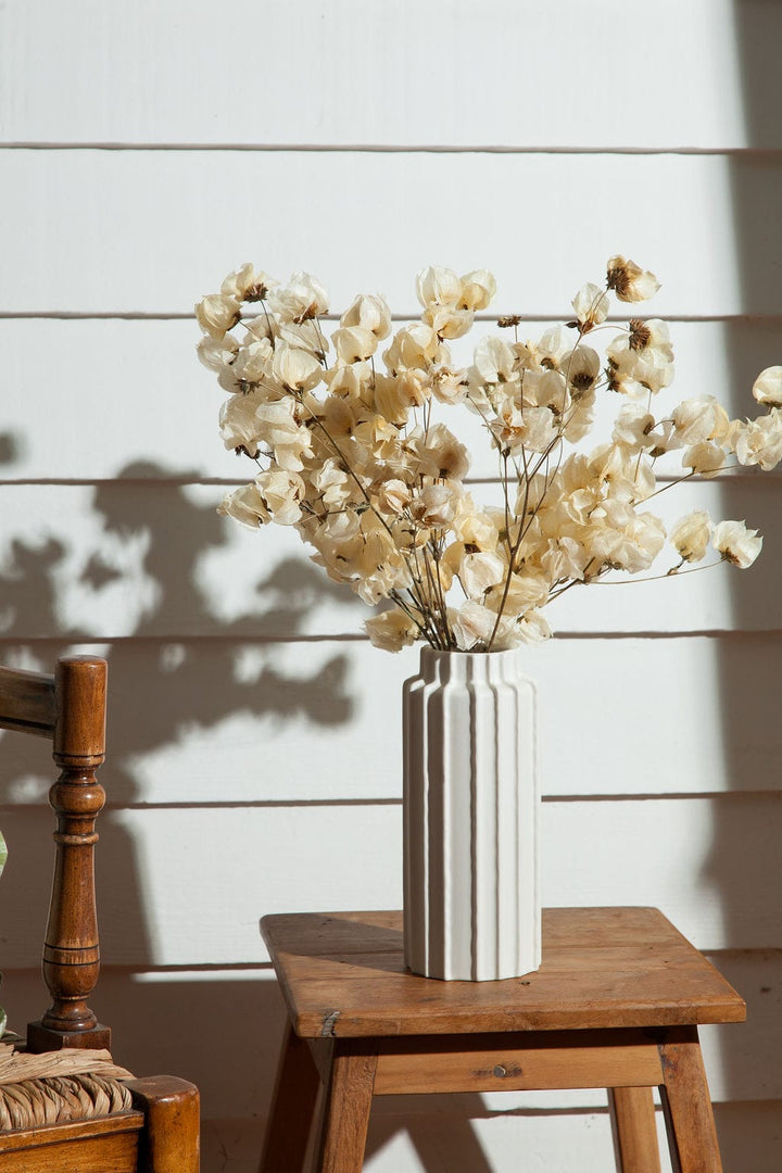 Bunches Dried Bougainvillea Blossoms send a bouquet- the best flower delivery