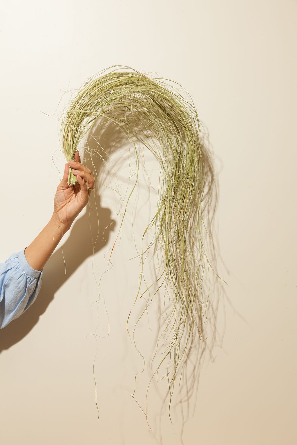 Bunches Dried Dune Grass send a bouquet- the best flower delivery