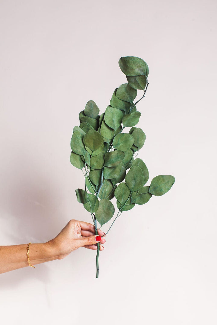 Bunches Dried Green Eucalyptus send a bouquet- the best flower delivery