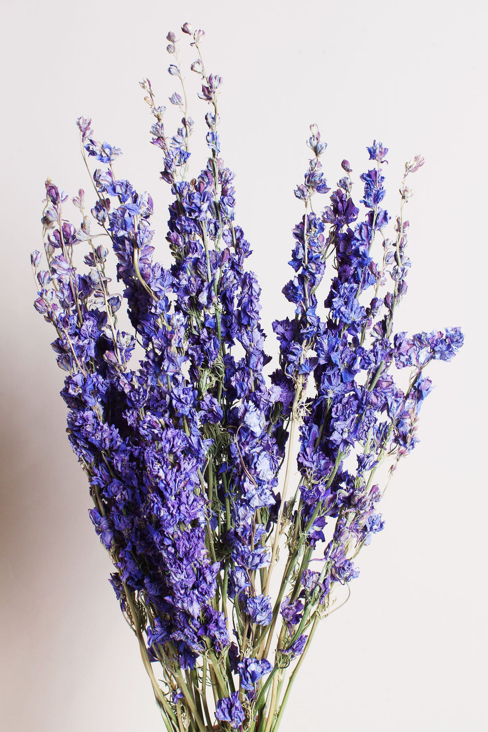 Dried Lilac Larkspur send a bouquet- the best flower delivery