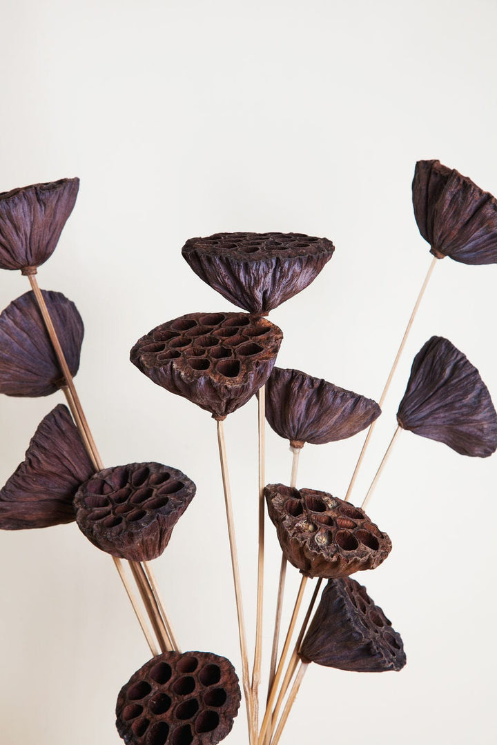 Bunches Dried Lotus Pods on Stems send a bouquet- the best flower delivery
