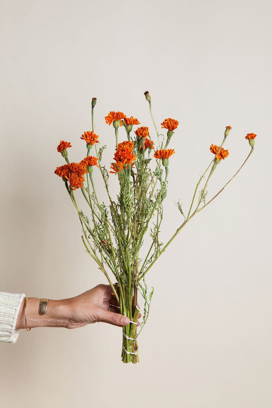 Bunches Dried Marigold Bunch send a bouquet- the best flower delivery