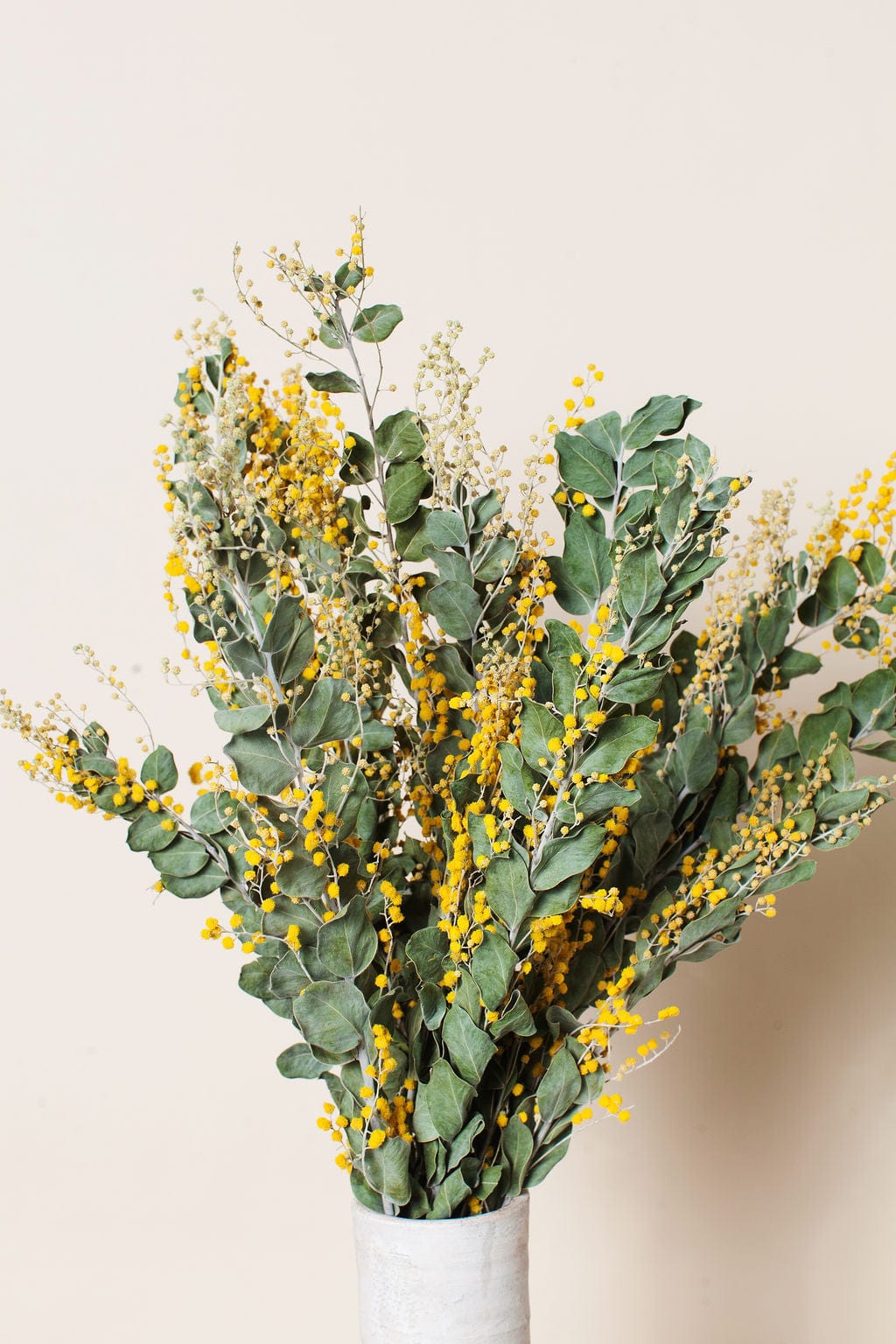 Bunches Dried Mimosa Flower send a bouquet- the best flower delivery