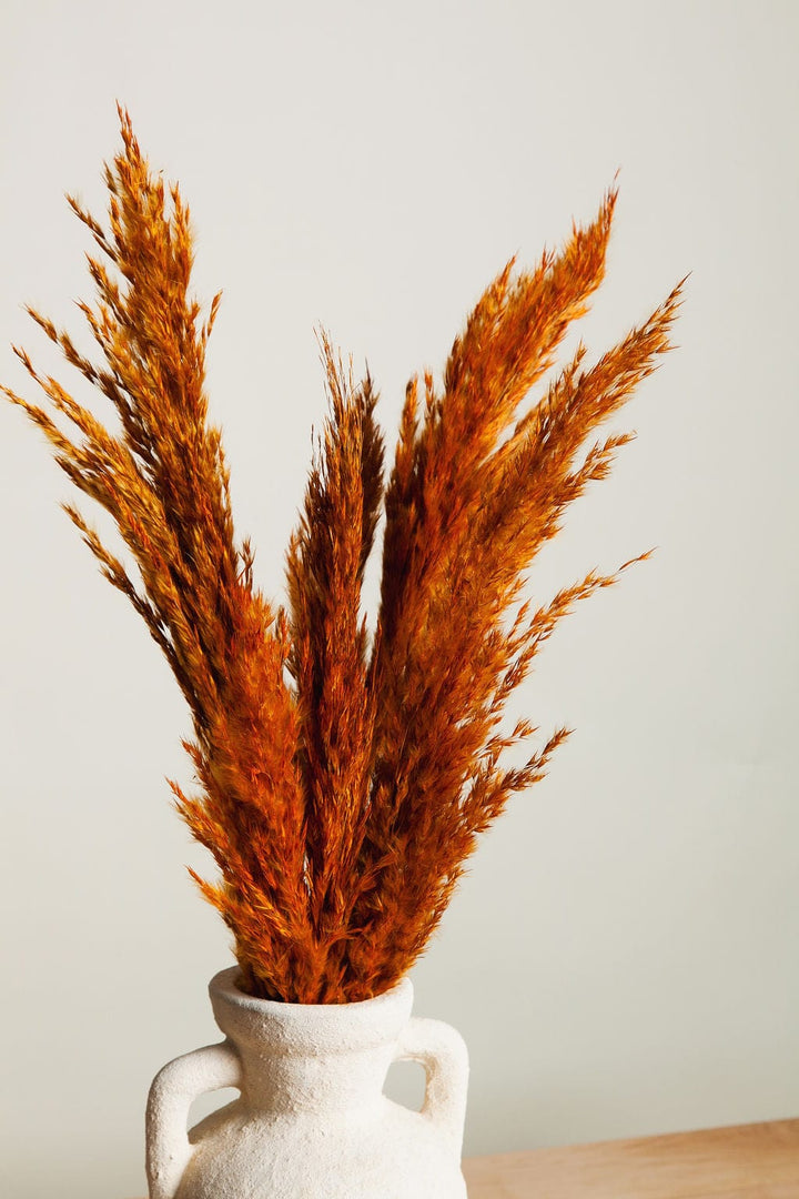 Bunches Dried Orange Pampas Grass send a bouquet- the best flower delivery