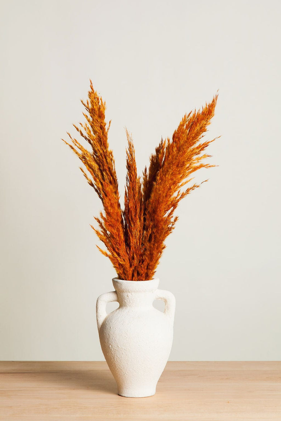 Bunches Dried Orange Pampas Grass send a bouquet- the best flower delivery