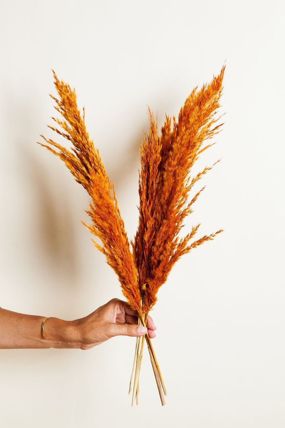 Bunches Dried Orange Pampas Grass send a bouquet- the best flower delivery