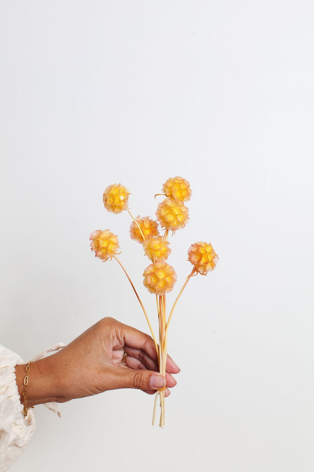 Bunches Dried Orange Scabiosa Pods send a bouquet- the best flower delivery
