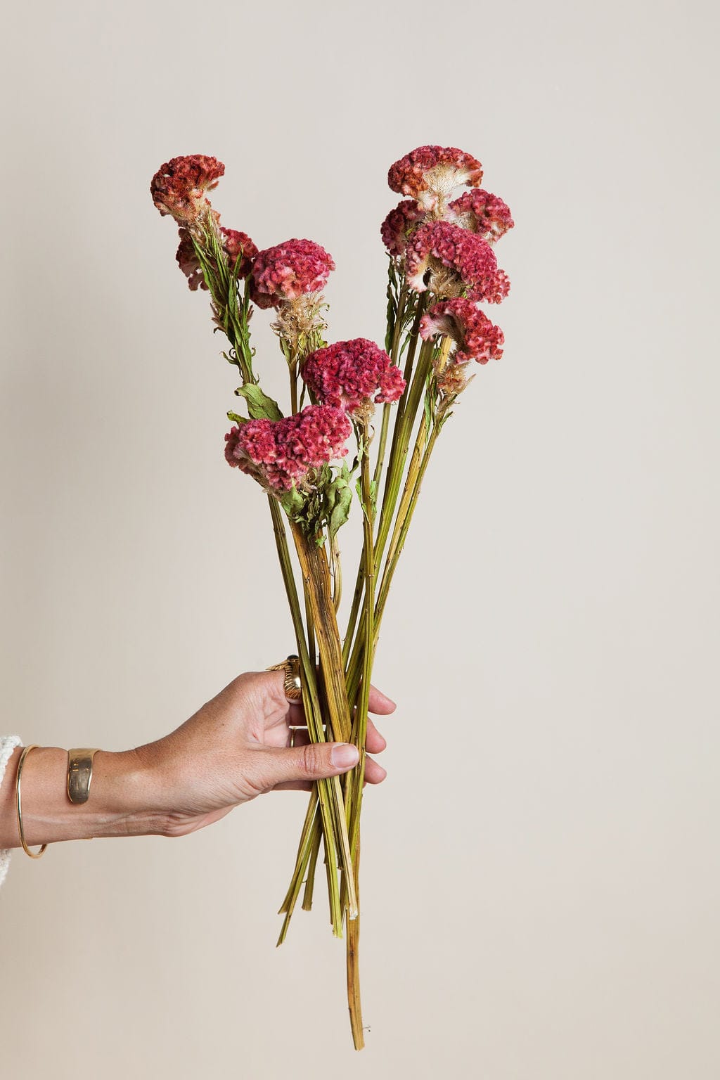 Dried and Preserved Flower Bunches