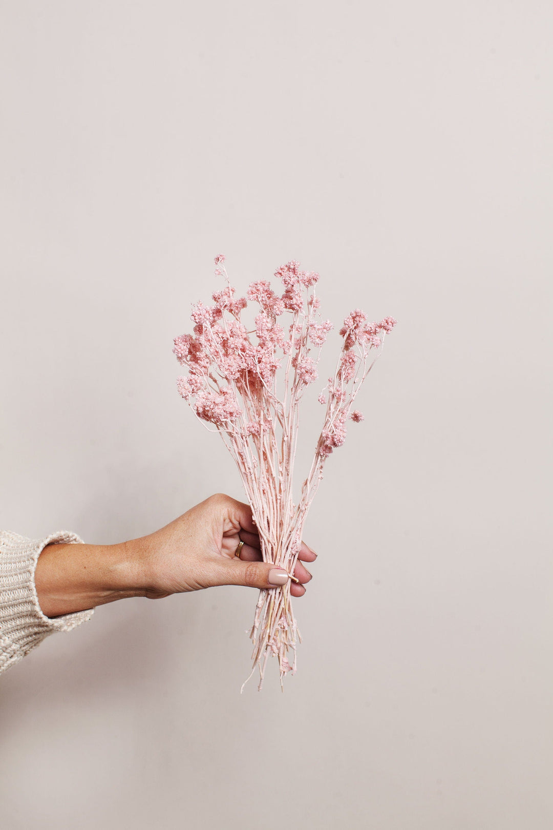 Bunches Dried Pink Crispum send a bouquet- the best flower delivery