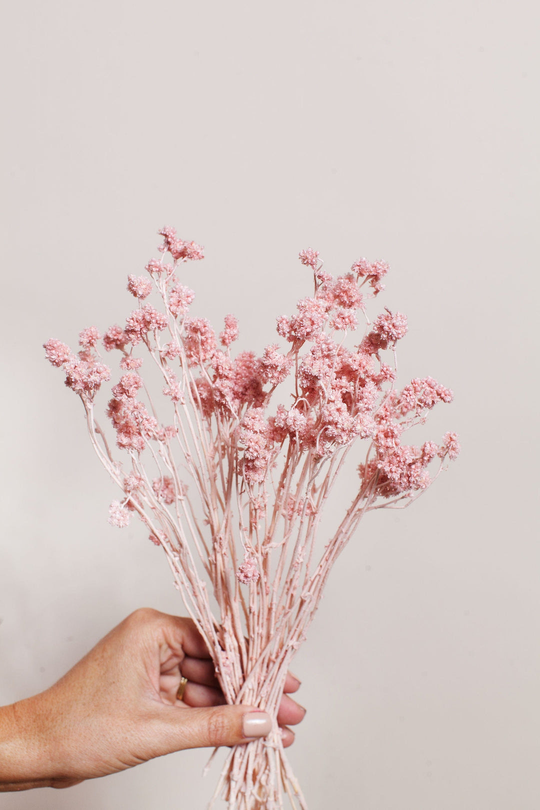 Bunches Dried Pink Crispum send a bouquet- the best flower delivery