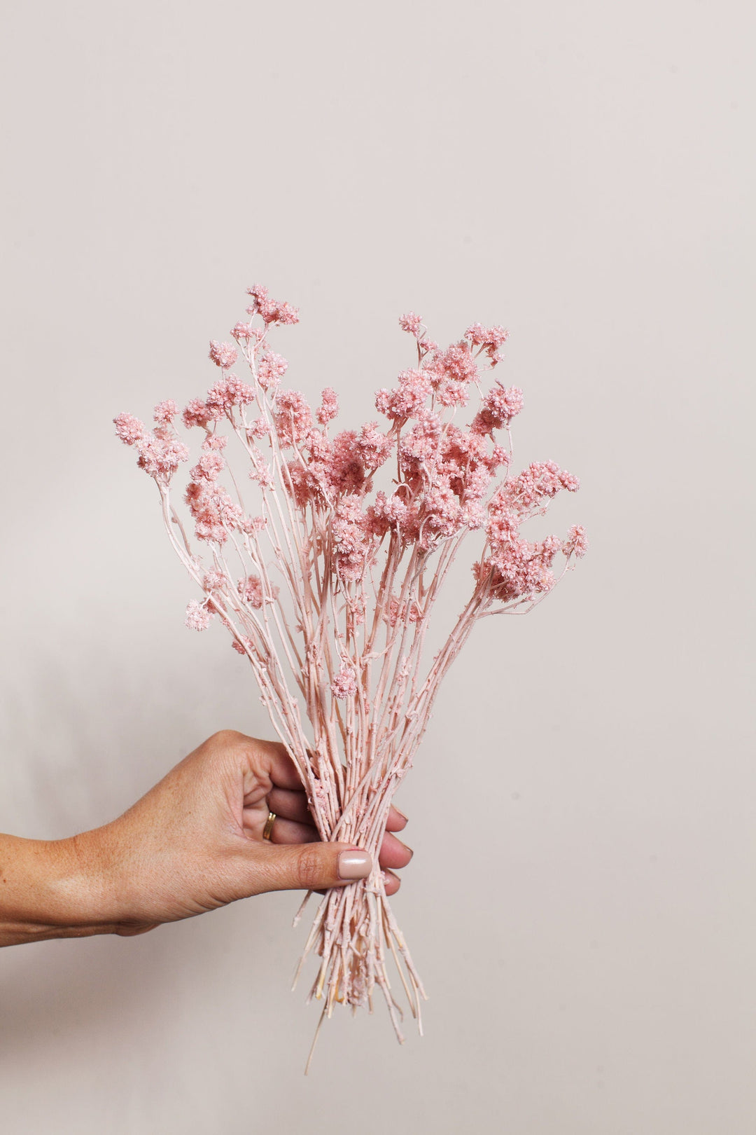 Bunches Dried Pink Crispum send a bouquet- the best flower delivery