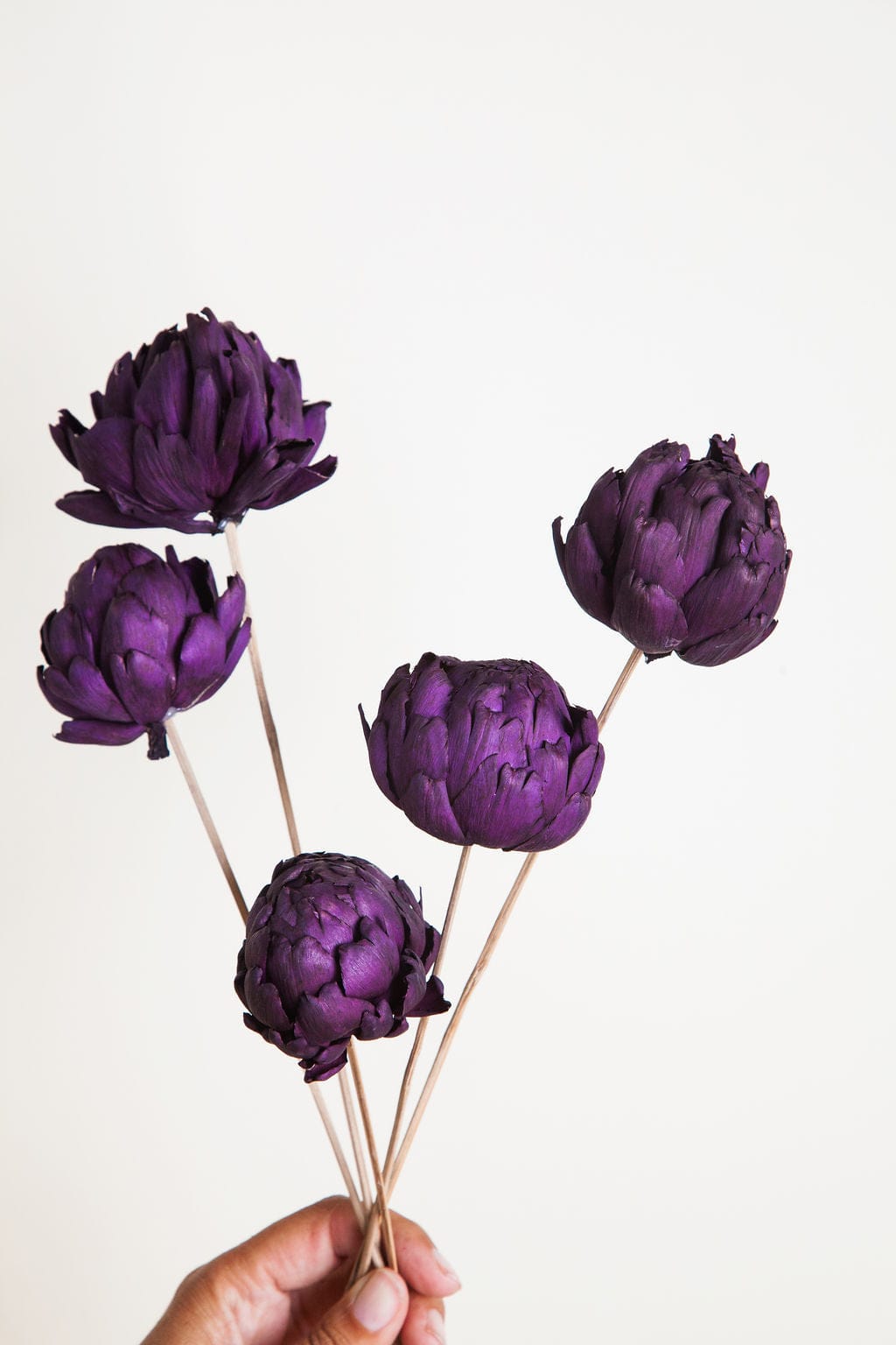 Bunches Dried Plum Artichokes send a bouquet- the best flower delivery