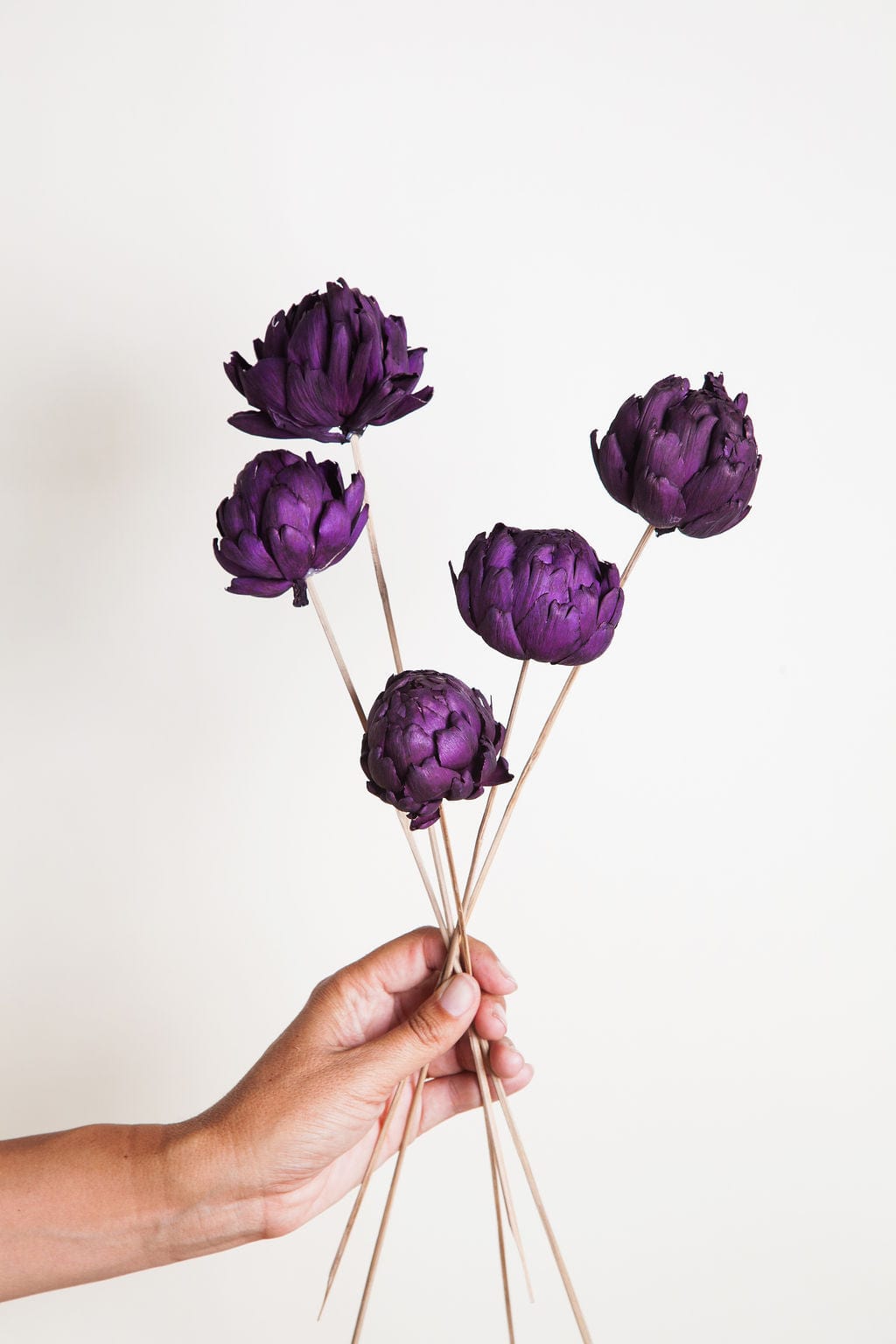 Bunches Dried Plum Artichokes send a bouquet- the best flower delivery