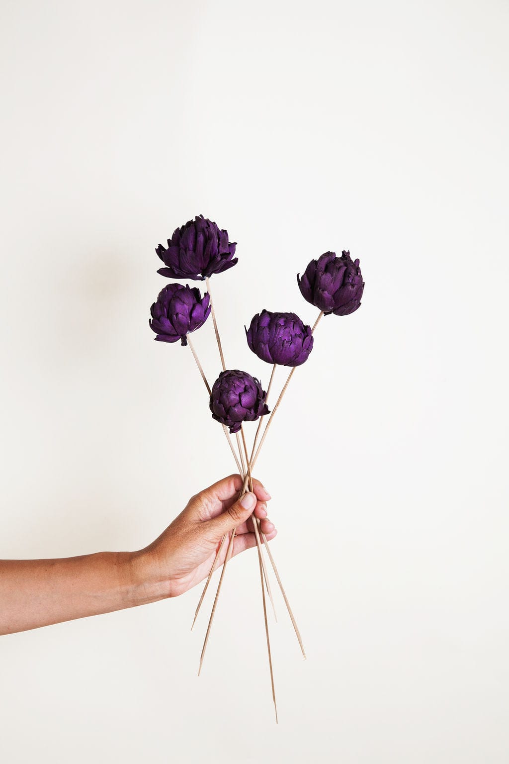 Bunches Dried Plum Artichokes send a bouquet- the best flower delivery