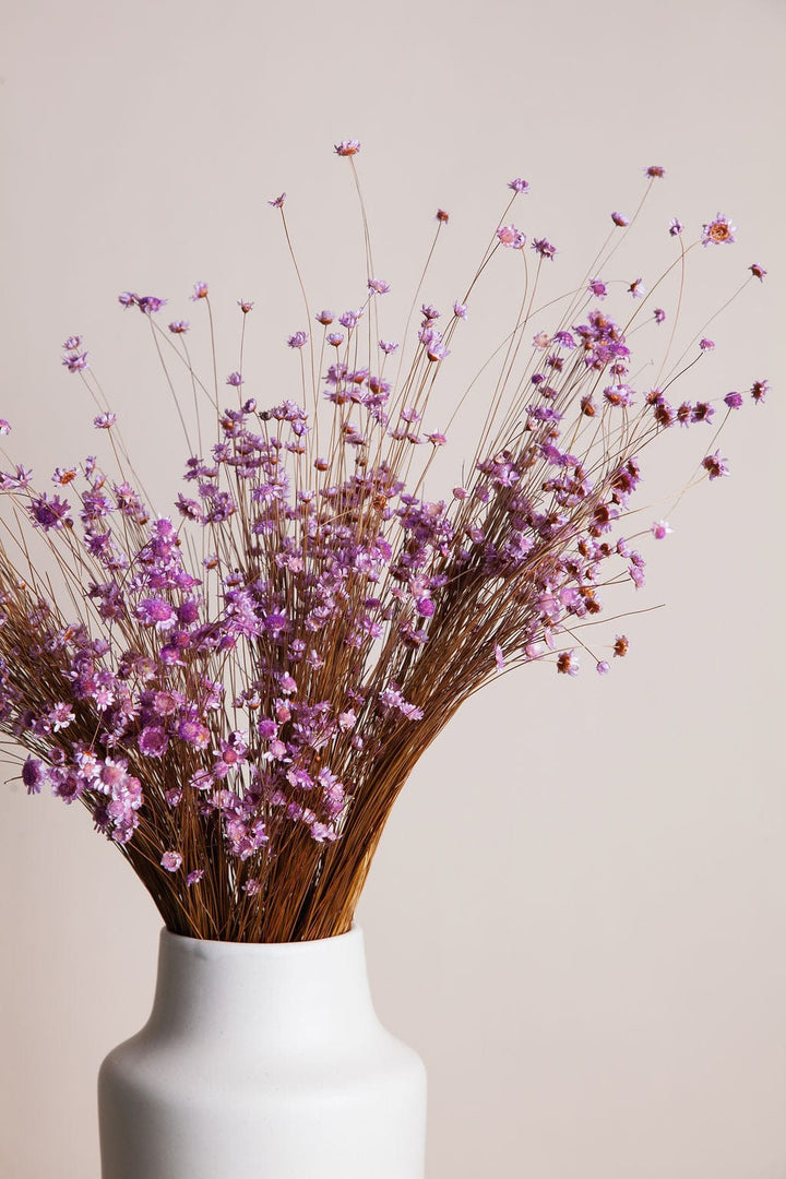 Bunches Dried Purple Star Flower send a bouquet- the best flower delivery