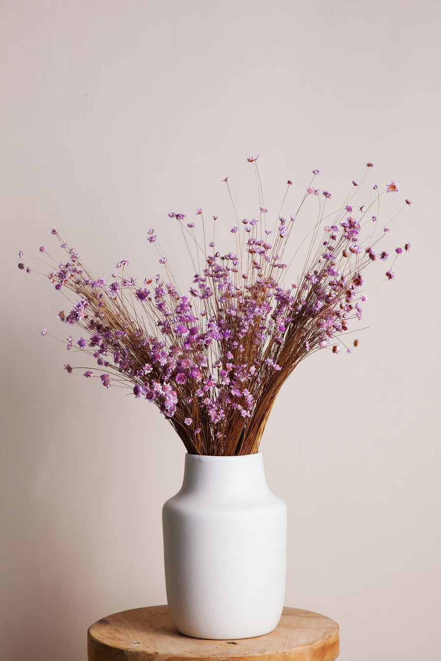 Bunches Dried Purple Star Flower send a bouquet- the best flower delivery