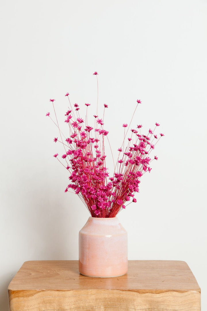 Bunches Dried Strawberry Pink Star Flower send a bouquet- the best flower delivery