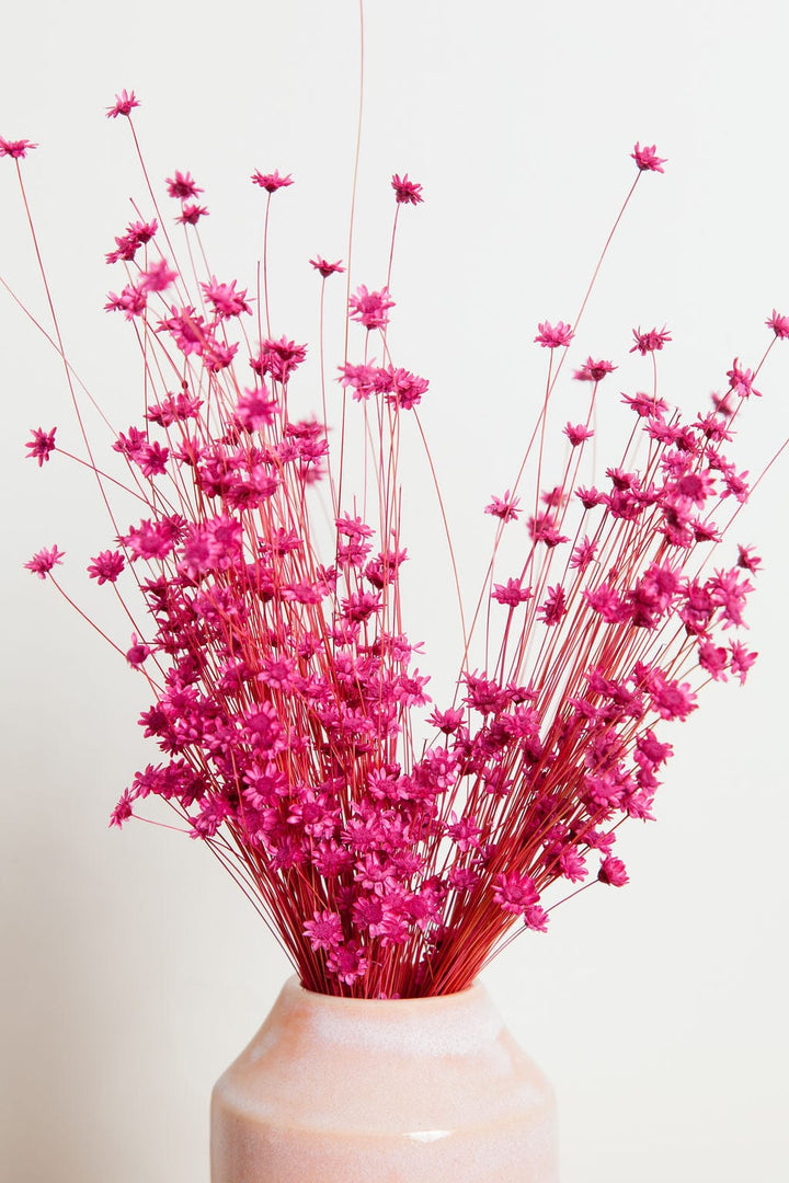 Bunches Dried Strawberry Pink Star Flower send a bouquet- the best flower delivery