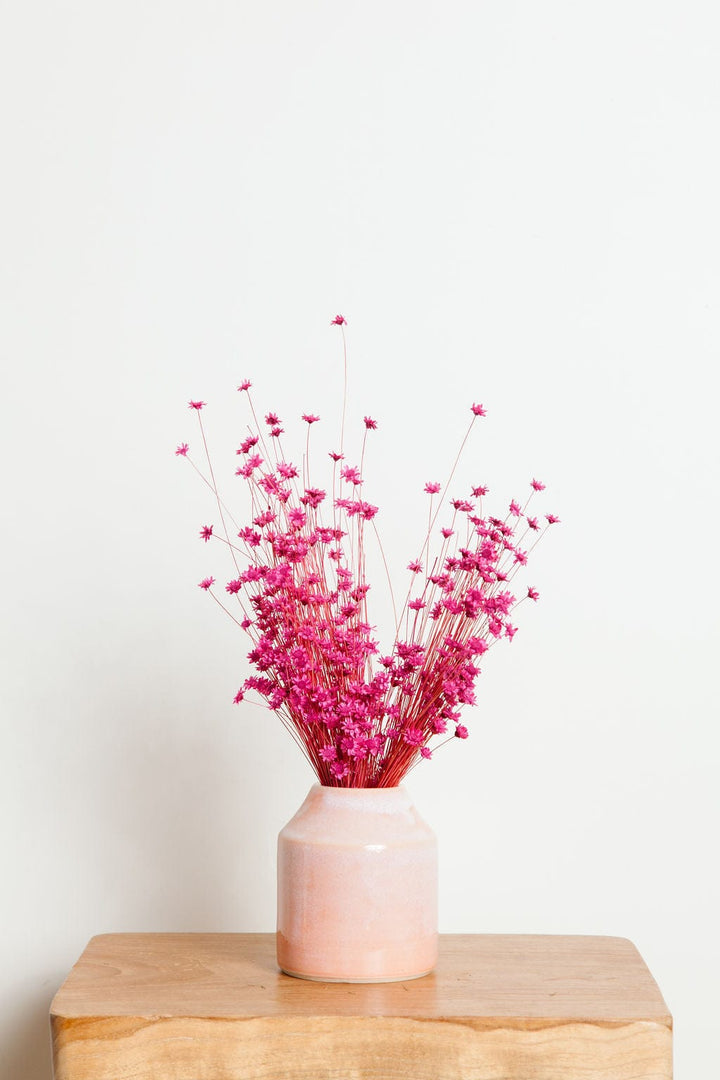 Bunches Dried Strawberry Pink Star Flower send a bouquet- the best flower delivery