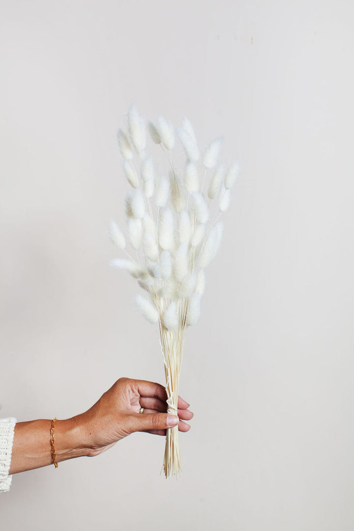 Idlewild Floral Co. Bunches Dried White Bunny Tail