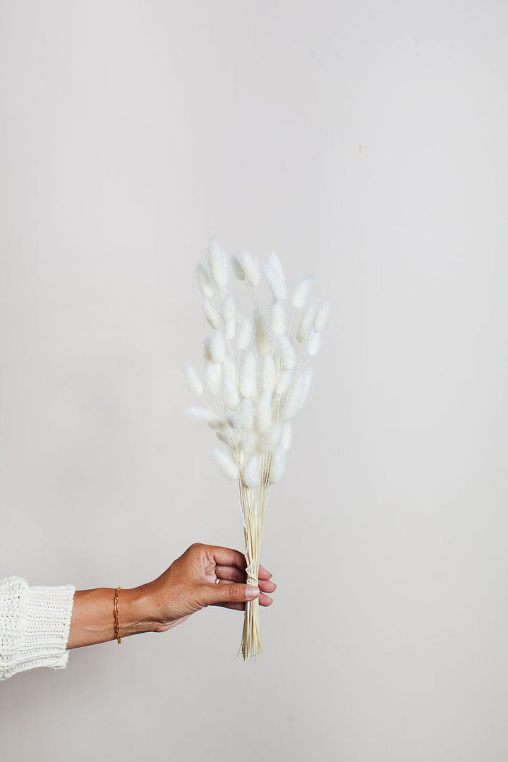 Idlewild Floral Co. Bunches Dried White Bunny Tail