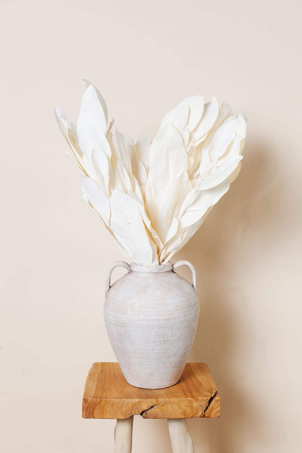 Dried White Magnolia send a bouquet- the best flower delivery