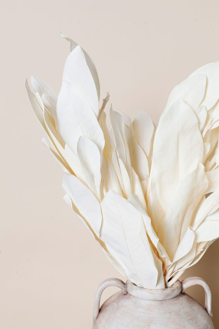 Dried White Magnolia send a bouquet- the best flower delivery