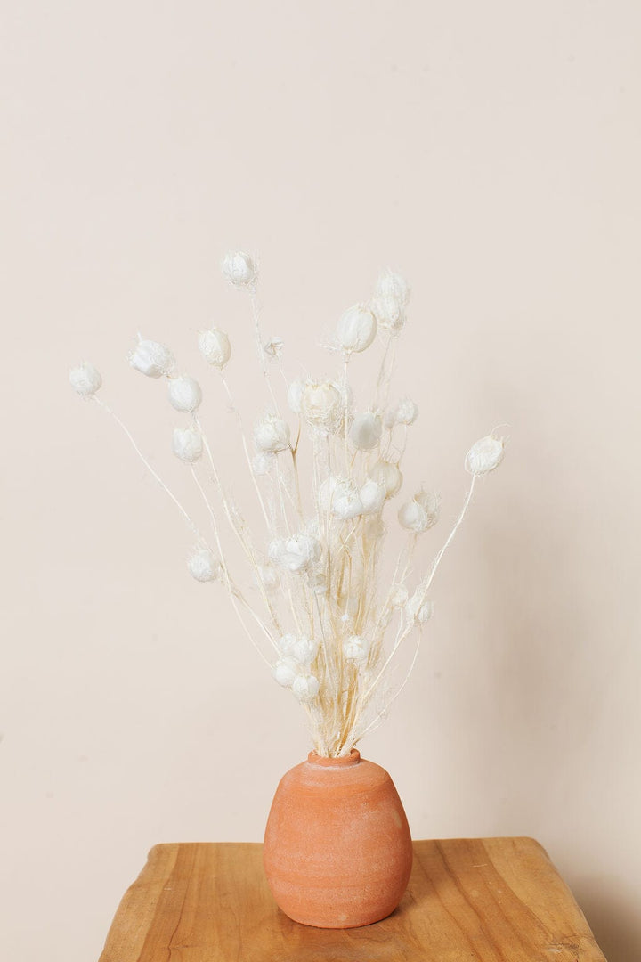 Bunches Dried White Nigella Pods send a bouquet- the best flower delivery