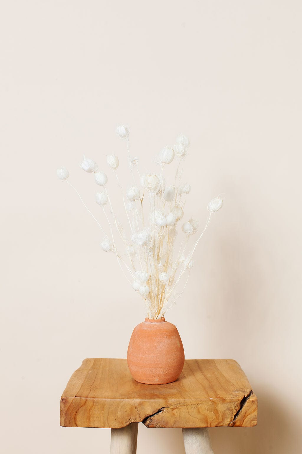 Bunches Dried White Nigella Pods send a bouquet- the best flower delivery