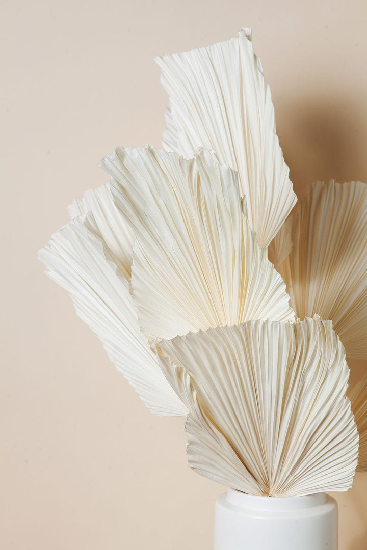 Bunches Dried White Spade Anahaw Palms send a bouquet- the best flower delivery