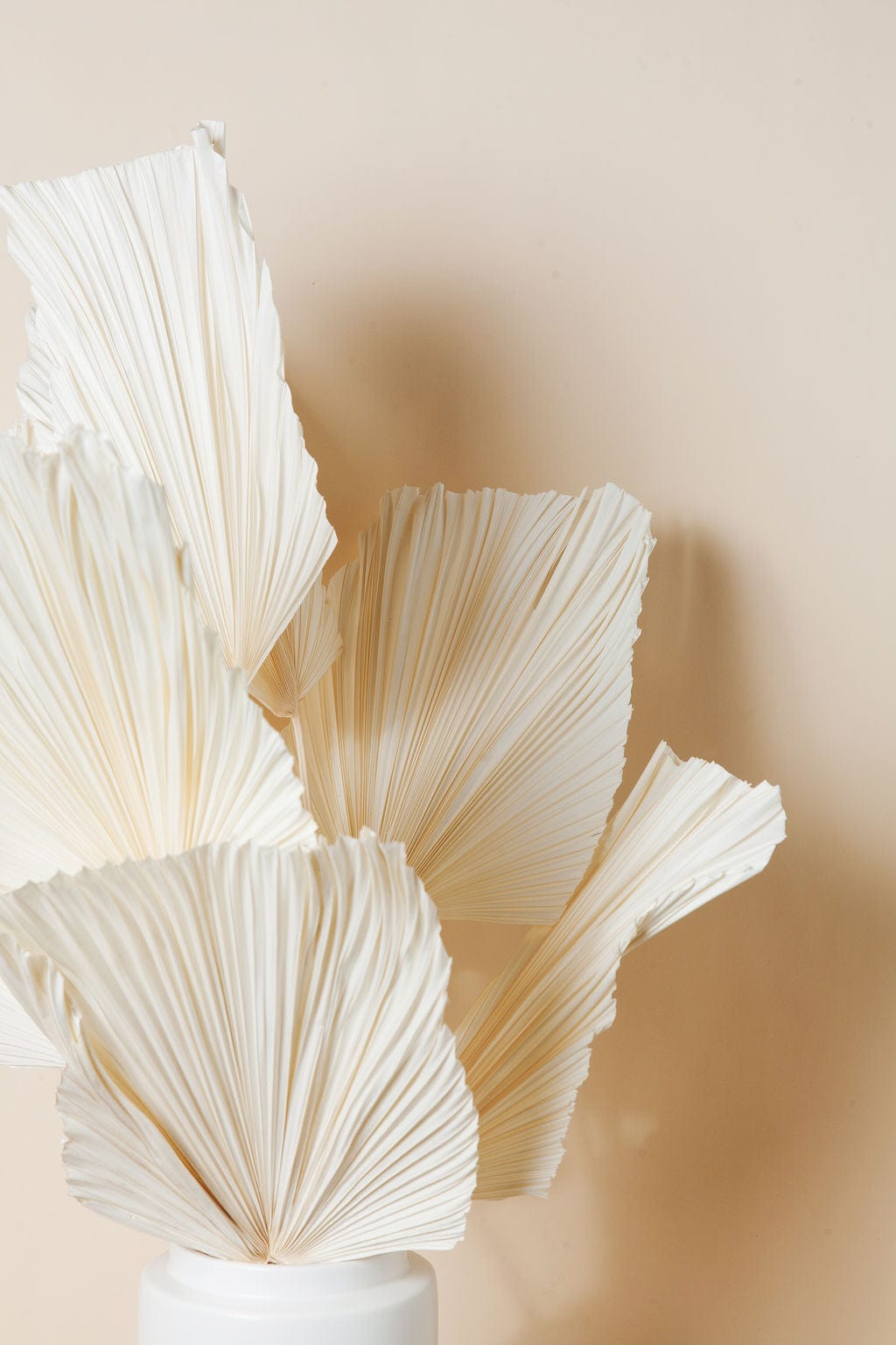 Bunches Dried White Spade Anahaw Palms send a bouquet- the best flower delivery
