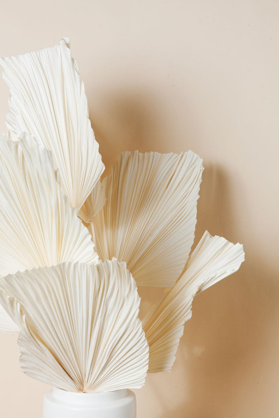 Bunches Dried White Spade Anahaw Palms send a bouquet- the best flower delivery
