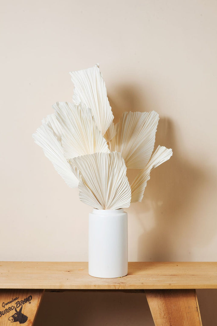 Bunches Dried White Spade Anahaw Palms send a bouquet- the best flower delivery