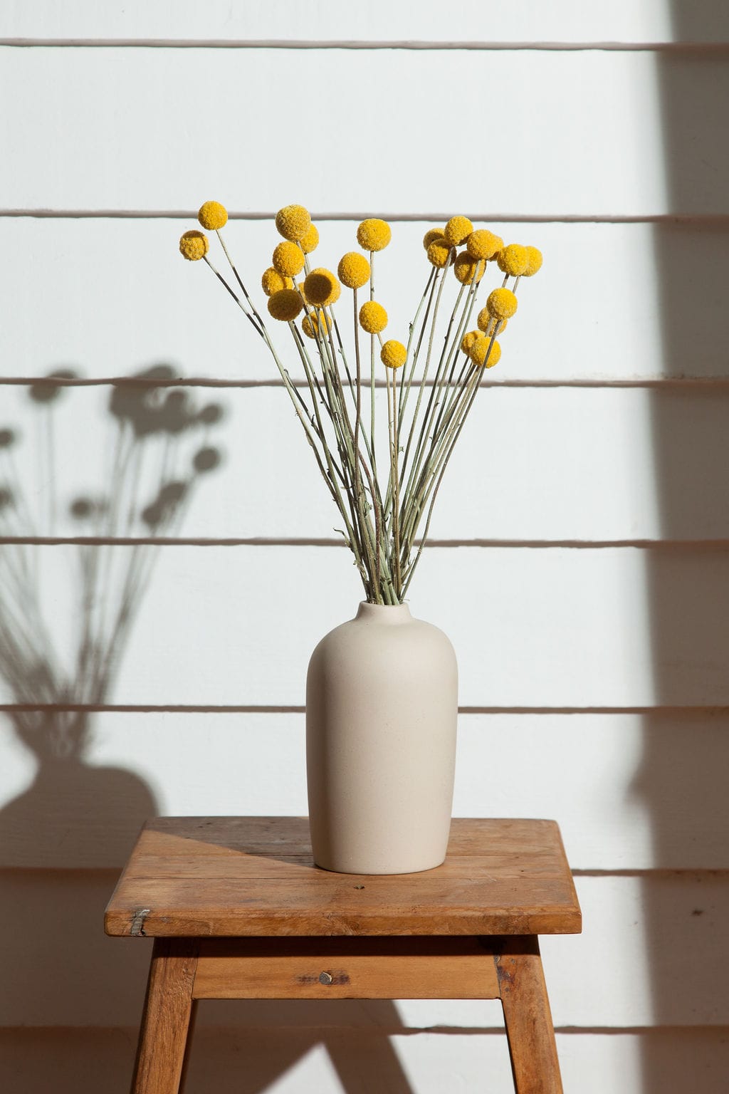 Bunches Dried Yellow Billy Balls send a bouquet- the best flower delivery