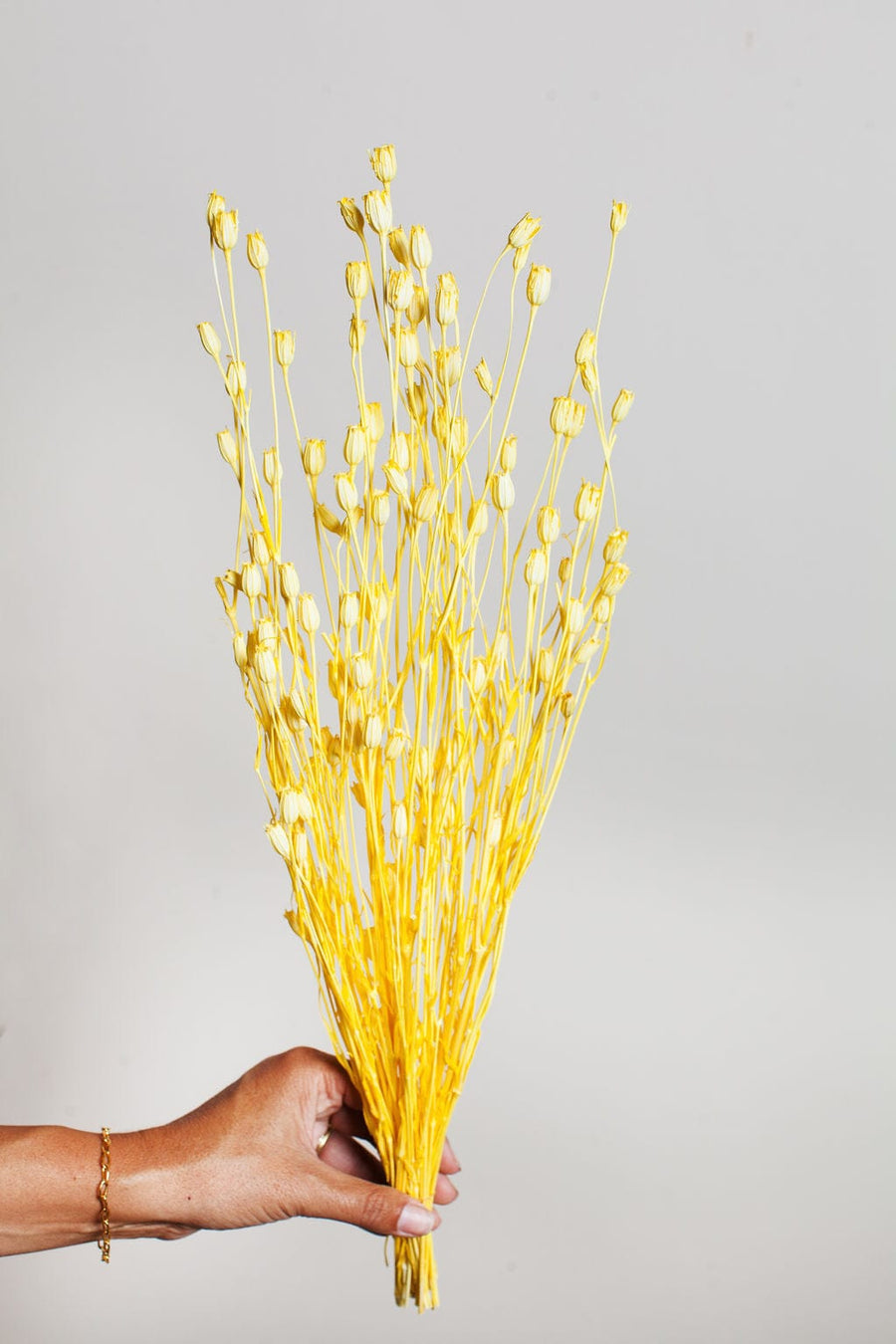 Idlewild Floral Co. Bunches Dried Yellow Florentiner