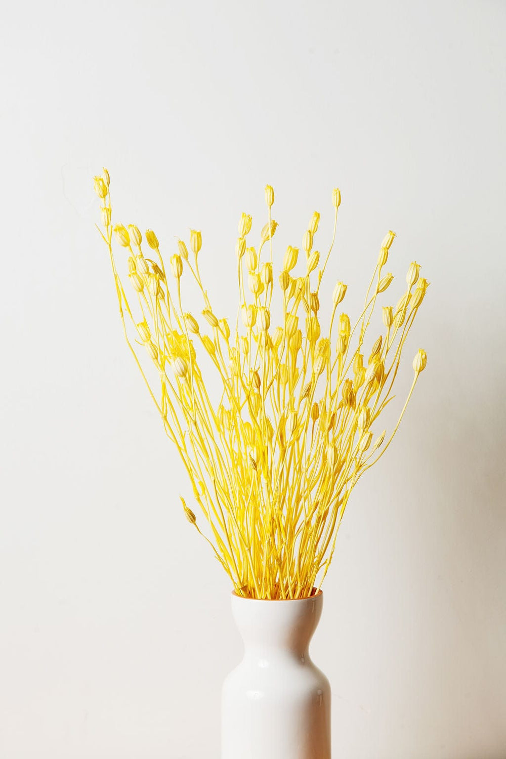 Bunches Dried Yellow Florentiner send a bouquet- the best flower delivery
