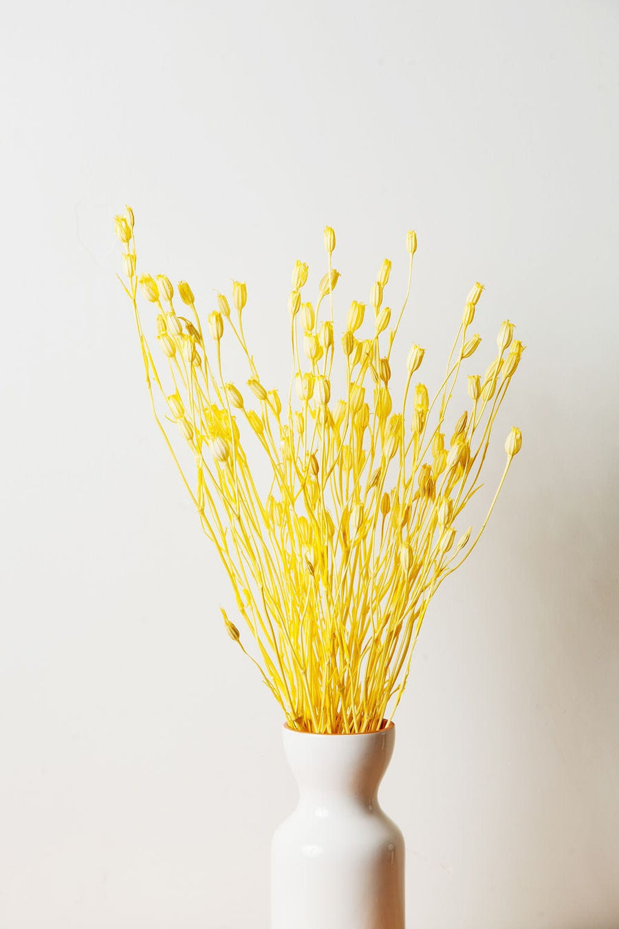 Bunches Dried Yellow Florentiner send a bouquet- the best flower delivery