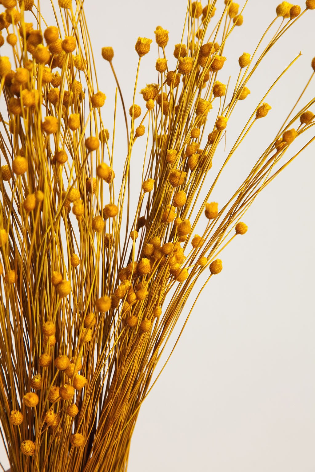 Bunches Dried Yellow Happy Flower send a bouquet- the best flower delivery