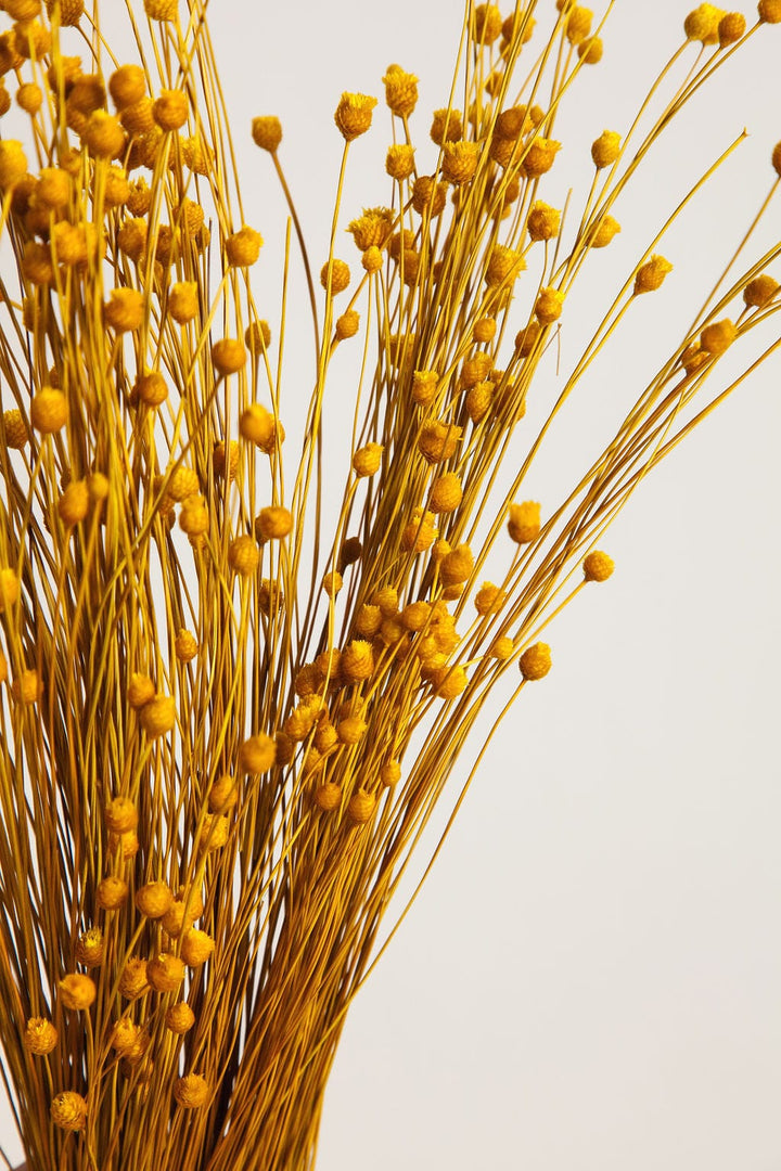 Bunches Dried Yellow Happy Flower send a bouquet- the best flower delivery