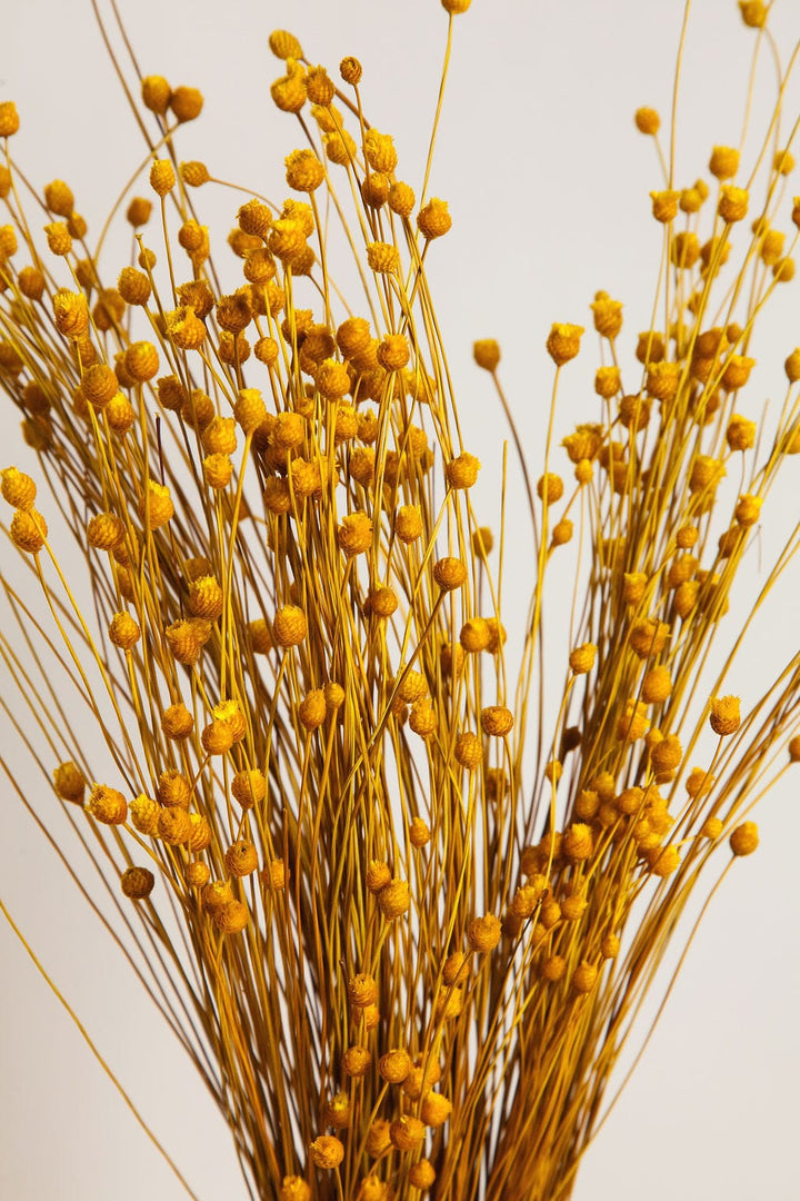 Bunches Dried Yellow Happy Flower send a bouquet- the best flower delivery