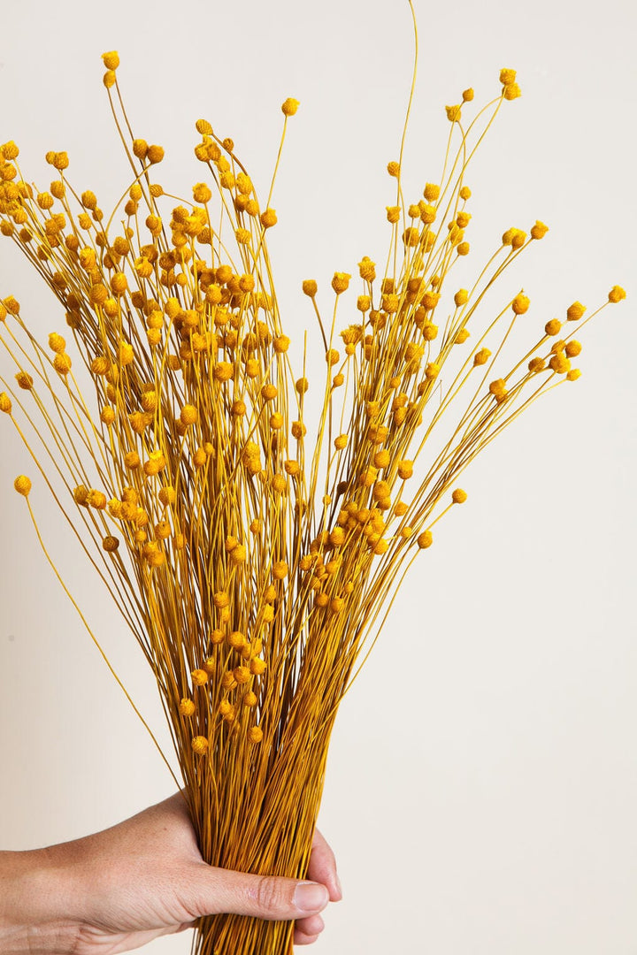 Bunches Dried Yellow Happy Flower send a bouquet- the best flower delivery